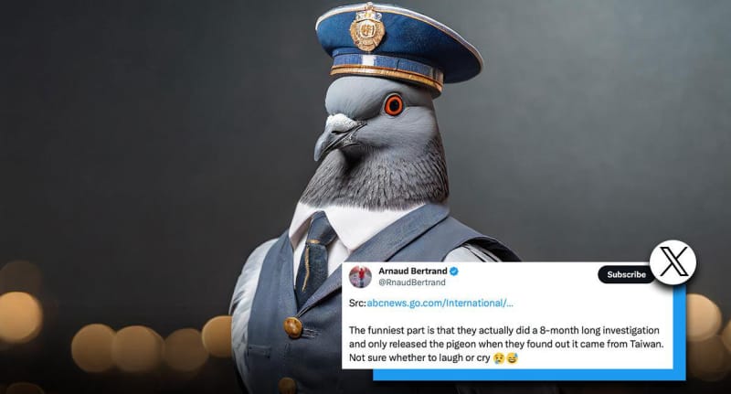 印度警方逮捕鸽子，称其为中国间谍！